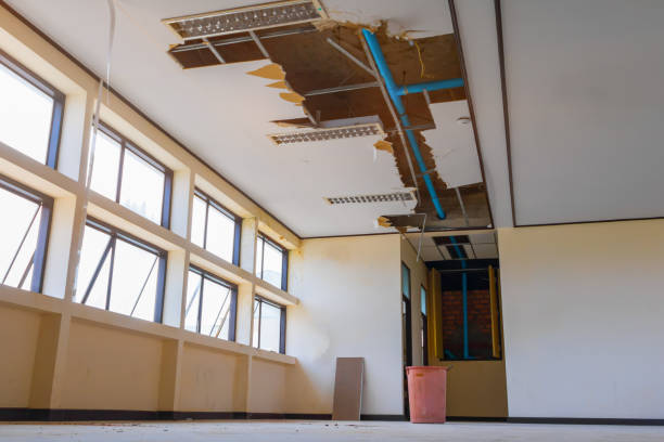 Best Water damage cleanup near me  in Lafayette, IN