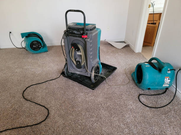 Best Mold removal after water damage  in Lafayette, IN