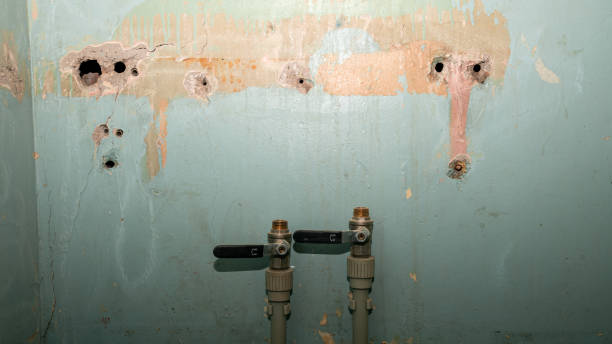Best Water damage restoration near me  in Lafayette, IN