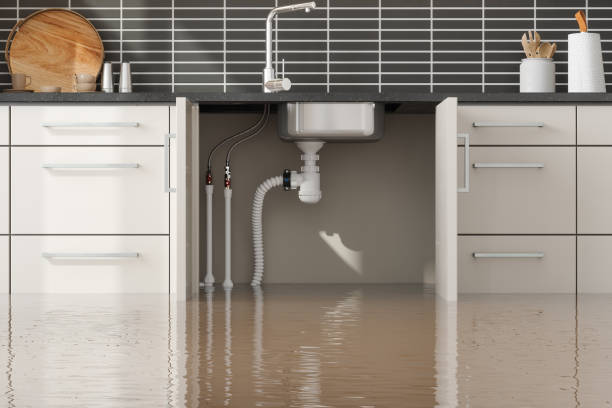 Best Water damage restoration services  in Lafayette, IN