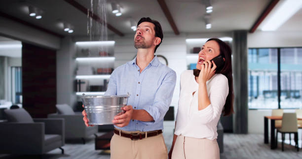 Best Local water damage restoration  in Lafayette, IN