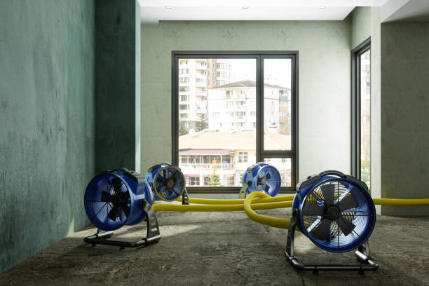 Best 24/7 water damage repair  in Lafayette, IN